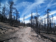 burn_area_part_3