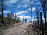 burn_area_part_5