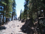 climbing