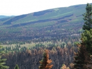 duckett_fire_part_2