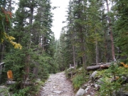 narrow