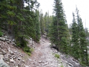 narrow_shelf