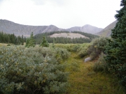 view_at_the_end