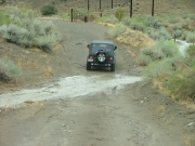 bob_on_the_trail