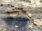 coal