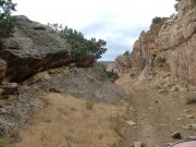 narrow_trail