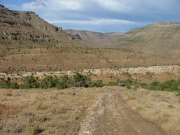 trail_to_the_mesas