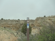 blm_sign