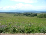 long_view