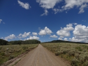 aspen_grove