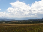 big_view