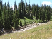 dry_creek_bed