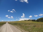 meadow