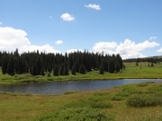 pond