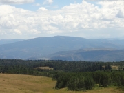 see_for_miles