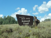 white_river_national_forest_sign