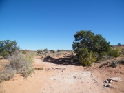 little_rocks