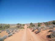 straight_trail