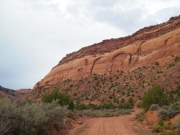 comb_ridge