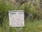 early_sign_1