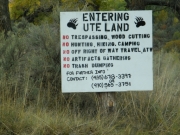 early_sign_2