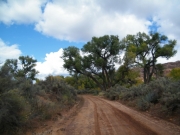 early_trail