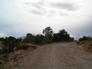easy_on_the_way_out