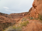 really_a_trail