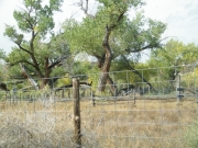 ranching
