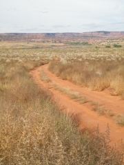 road_at_kiosk_part_2