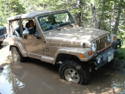 brian_in_the_mud