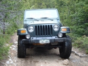 ladd_on_the_trail