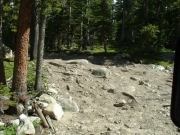rocky_trail