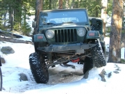 bob_flexy
