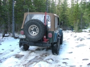 bob_on_the_trail