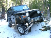 dave_flexy