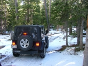 dave_on_the_trail