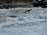 shelf_of_ice