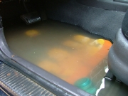 alanna_soaked_part_3