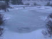 frozen_lake