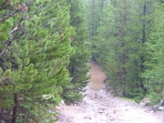 trail_into_the_water