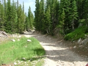 through_a_clearing