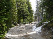 snow_on_the_hill