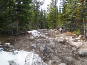 snow_on_the_trail