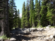 fun_rocks