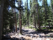 muddy_rocks