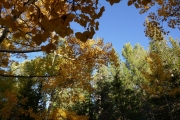 all_colors
