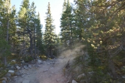 dusty
