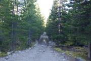 long_puddle