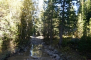rocky_puddle